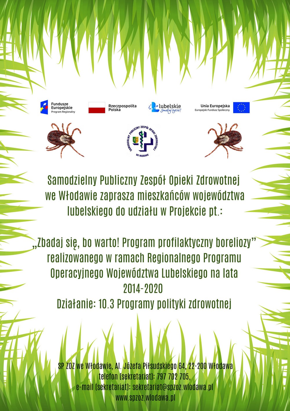 Grafika dekoracyjna