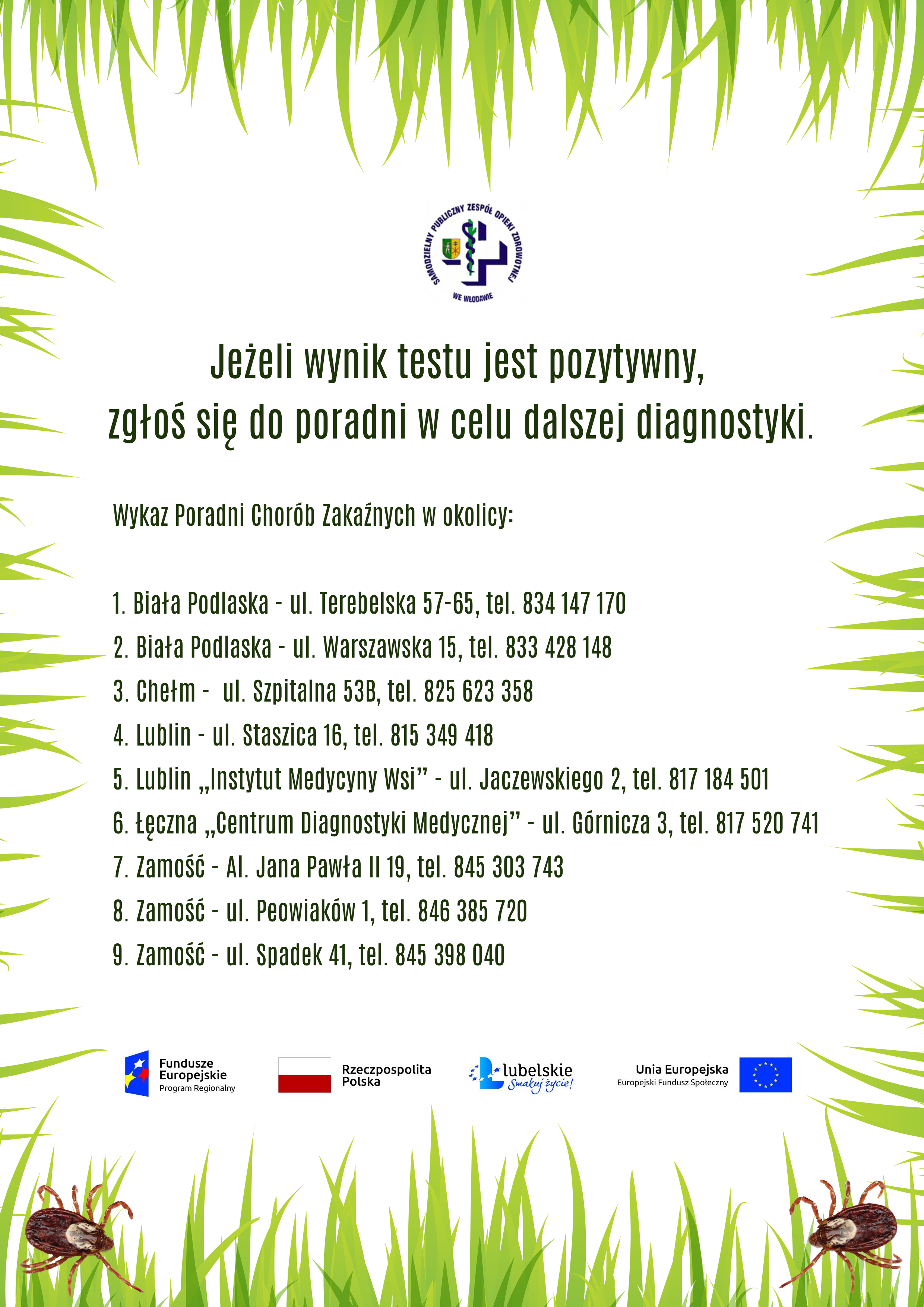 Grafika dekoracyjna